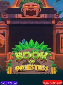 Explorando o Fascinante Mundo de BookOfPriestess: Um Jogo Inovador